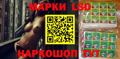гашик Малгобек
