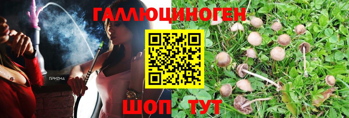 Псилоцибиновые грибы ЛСД Балахна