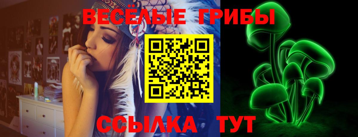 Балахна  наркота  Псилоцибиновые грибы Magic Shrooms  Вход с VPN  Псилоцибиновые грибы GOLDEN TEACHER 