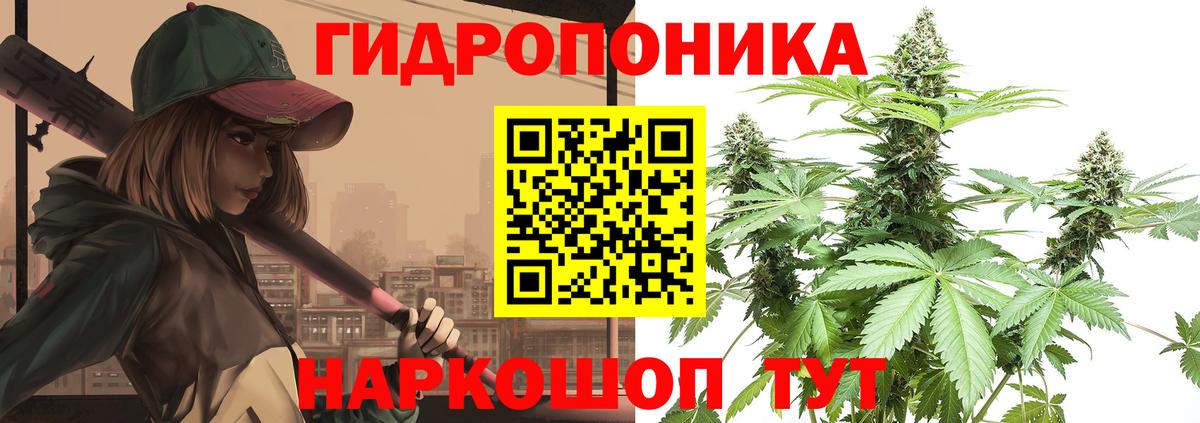 Каннабис OG Kush  Марихуана гибрид  Канабис тримм  Каннабис White Widow  Балахна  Вход с VPN 